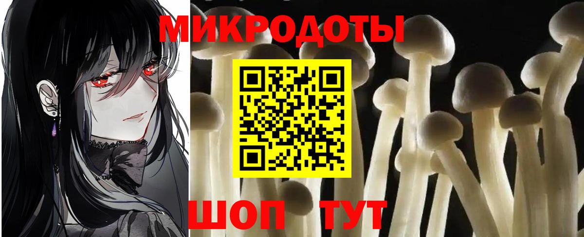 Родники  Псилоцибиновые грибы Psilocybine cubensis  Вход с VPN 