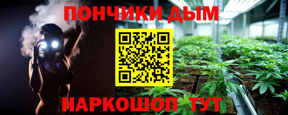 Канабис планчик Родники
